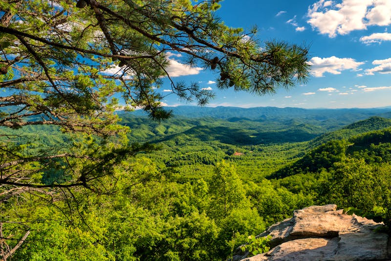 Great Smoky Mountains in Tennessee - USA - ©Darrell Young - stock.adobe.com
