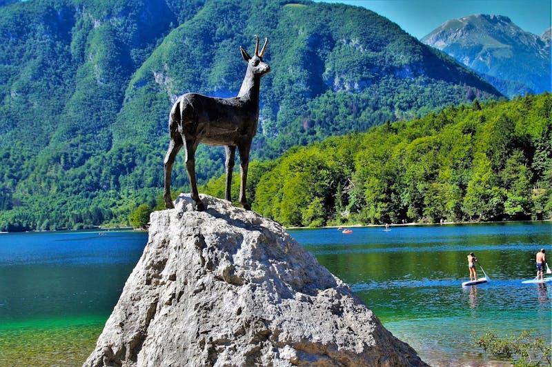 Bohinj - ©pixabay
