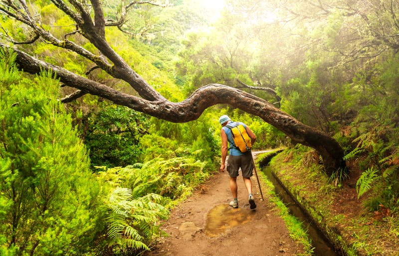 Levada-Wandern auf Madeira - ©Galyna Andrushko - stock.adobe.com