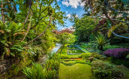 Terra Nostra Park auf Sao Miguel - Azoren, Portugal &ndash; &copy; Angelino - stock.adobe.com
