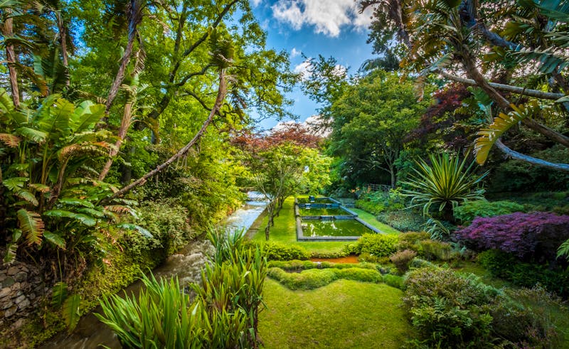 Terra Nostra Park auf Sao Miguel - Azoren, Portugal - ©Angelino - stock.adobe.com