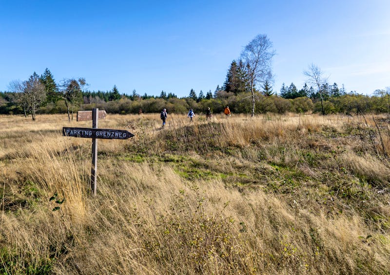 Wandern im Hohen Venn - ©C.M.M. - stock.adobe.com