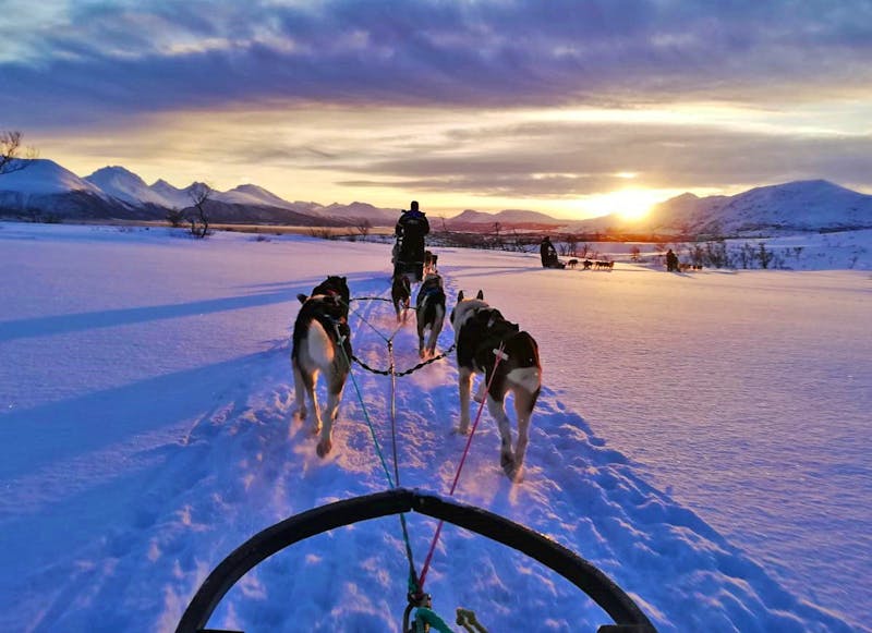 Husky-Tour - Hundeschlittenfahrt in Norwegen - ©Annett Müller - Eberhardt TRAVEL