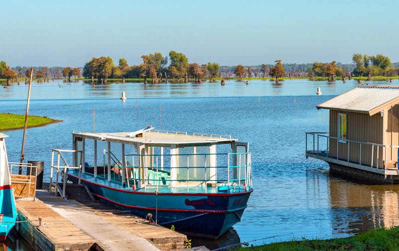 Sumpftour - Bootsfahrt im Mississippi Delta - ©imagoDens - stock.adobe.com