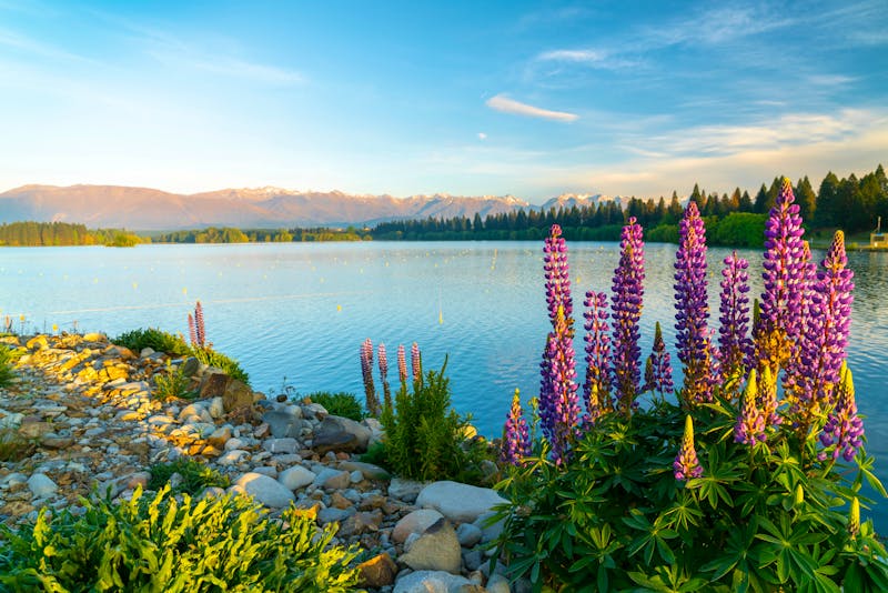 See in der Region Canterbury bei Twizel - ©Brian Scantlebury - stock.adobe.com