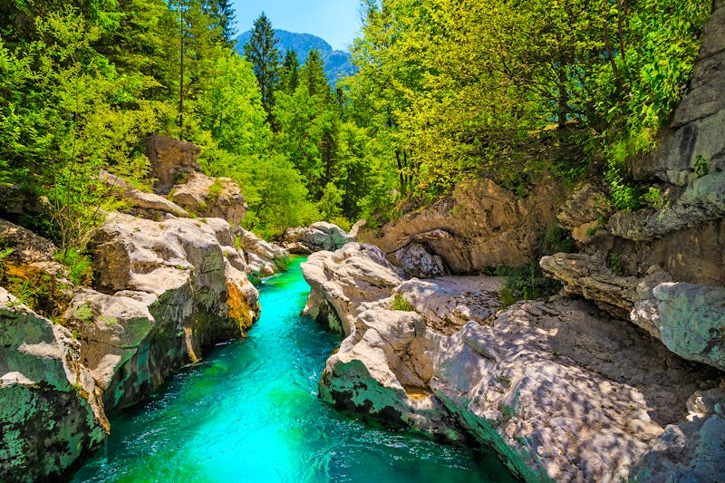 Soca-Fluss im Triglav Nationalpark - ©janoka82 - stock.adobe.com