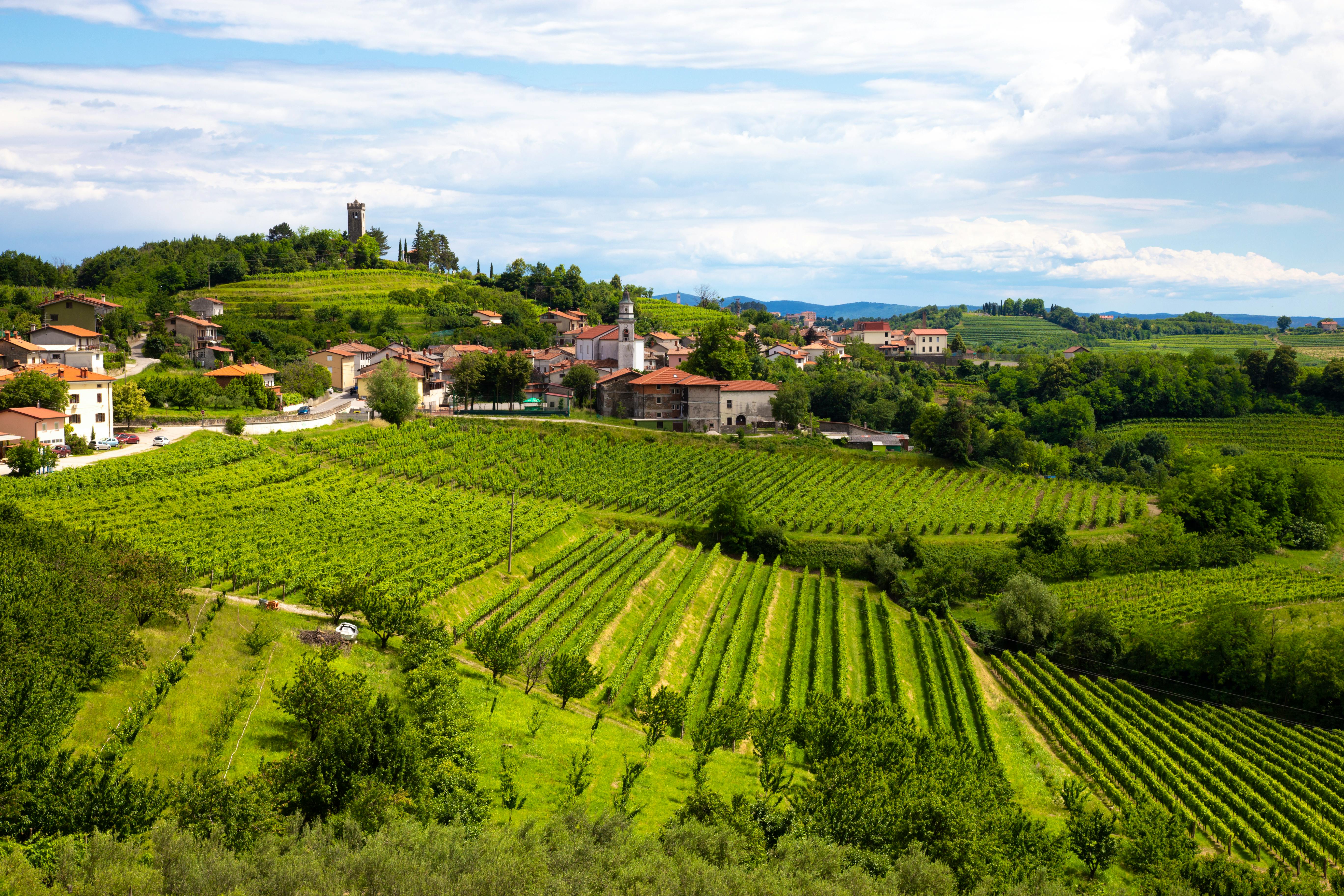 Smartno in der slowenischen Weinregion Goriska Brda - &copy;Matej Kastelic - stock.adobe.com