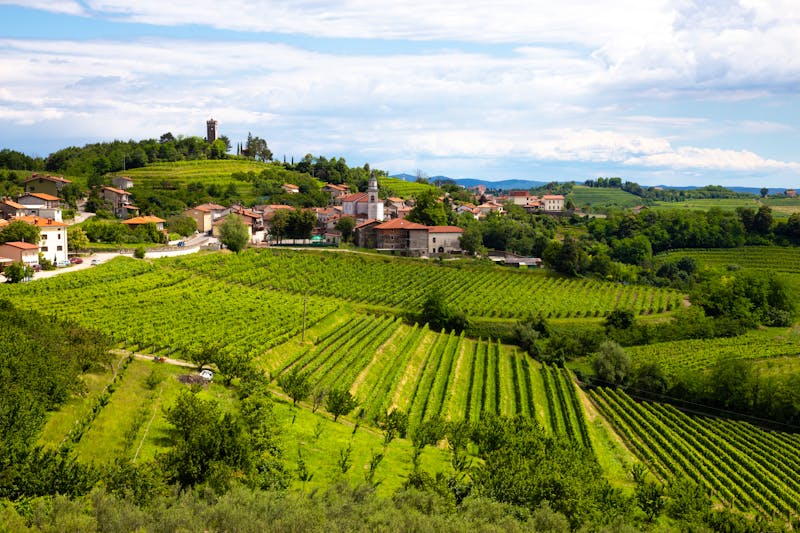 Smartno in der slowenischen Weinregion Goriska Brda - ©Matej Kastelic - stock.adobe.com