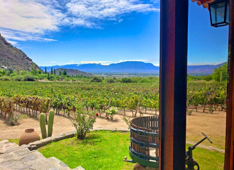 Weingut in Cafayate - Argentinien - ©AnaliaM - stock.adobe.com