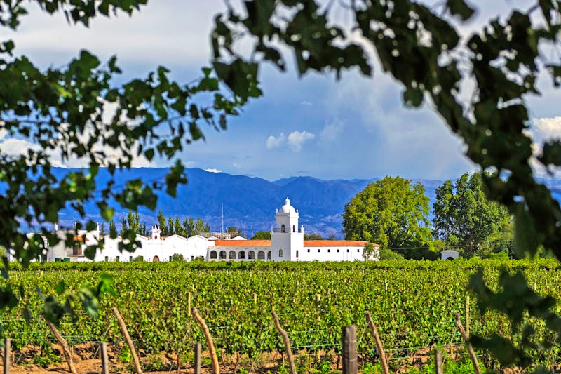 Ausflug in die Weinregion Cafayate - ©sunsinger - stock.adobe.com