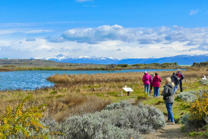 Ausflug zum Vogelreservat Laguna Nimez in Patagonien - ©Frank Nimschowski - Eberhardt TRAVEL