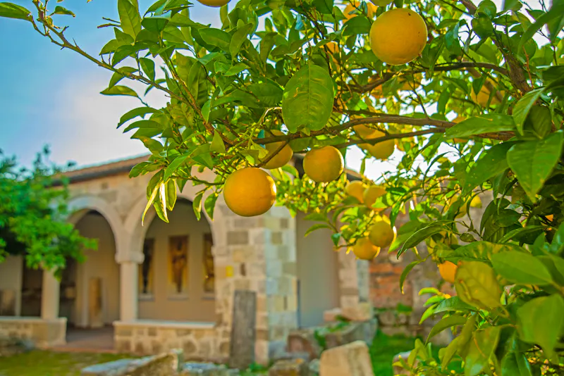 Apollonia in Albanien - &copy;Anna ART - stock.adobe.com