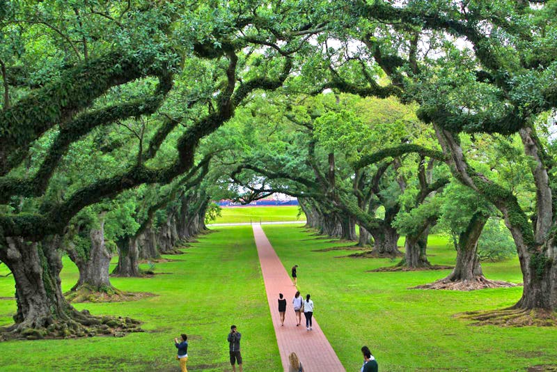 Oak Alley Plantage in Louisiana - ©Eberhardt TRAVEL - Elisa Müller