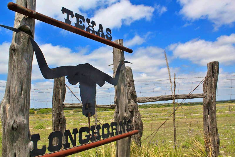 Fahrt zur Y.O. Ranch in Texas - ©Elisa Müller - Eberhardt TRAVEL