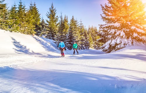 Ski-Langlauf &ndash; &copy; mmphoto - stock.adobe.com