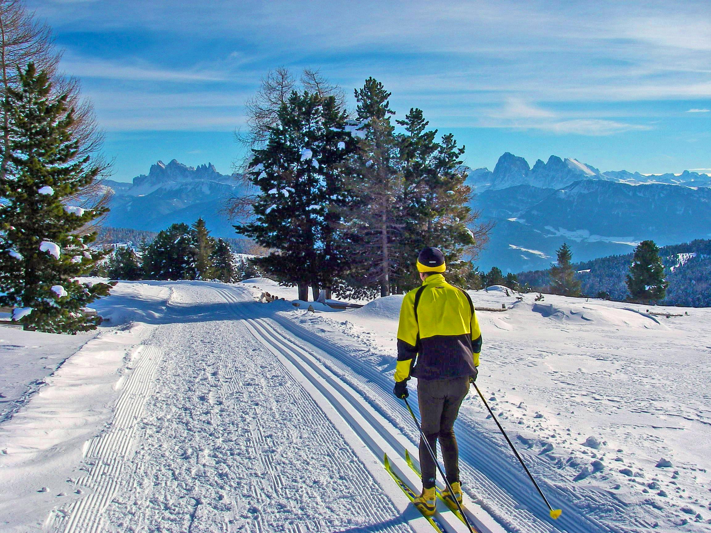Ski-Langlauf in Südtirol &ndash; &copy; hegadex.com - stock.adobe.com