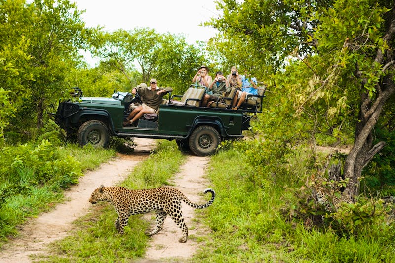 Jeepsafari in Südafrika - Leopard - ©Mike Watson Images Limited - stock.adobe.com