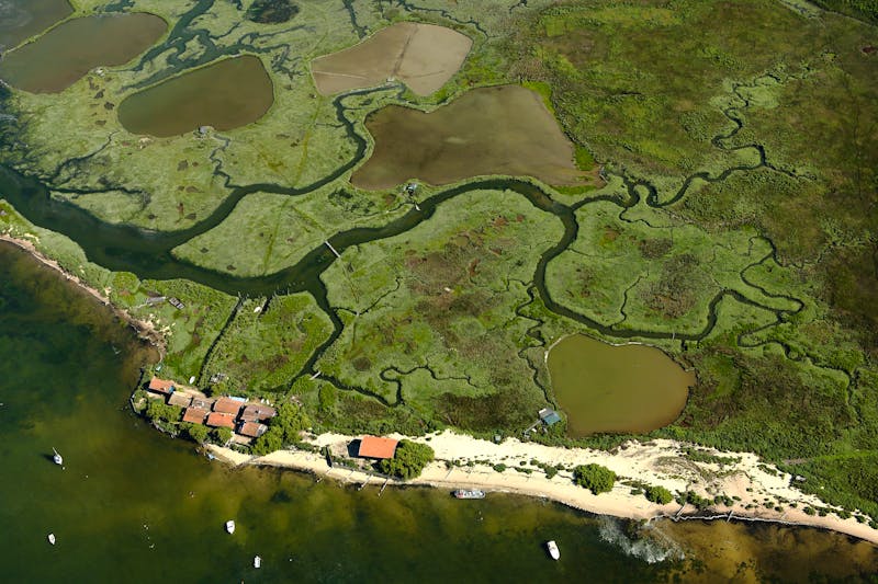 Blick auf Insel aux Oiseaux - Vogelinsel - ©Andre LETZEL - stock-adobe.com