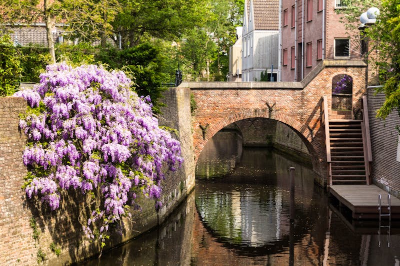 Gracht in S`Hertogenbosch - ©fotografiedamen - stock.adobe.com