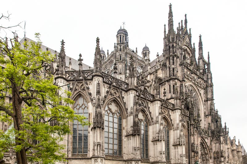 St. Johannis Kathedrale S`Hertogenbosch - ©Ans - stock.adobe.com