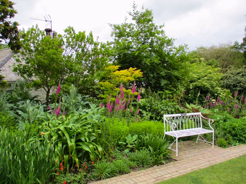 Lost Gardens of Heligan - ©Constanze Hölig