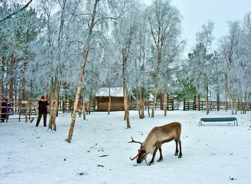 Nutti Sami Siida - Samendorf in Jukkasjärvi  - ©Martin Büchner - Eberhardt TRAVEL