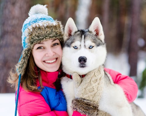 Husky &ndash; &copy; Ermolaev Alexandr - stock.adobe.com