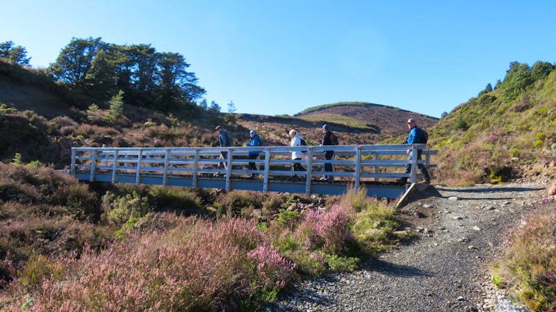 Wanderung im Tongariro Nationalpark - ©Rico Manns - Eberhardt TRAVEL