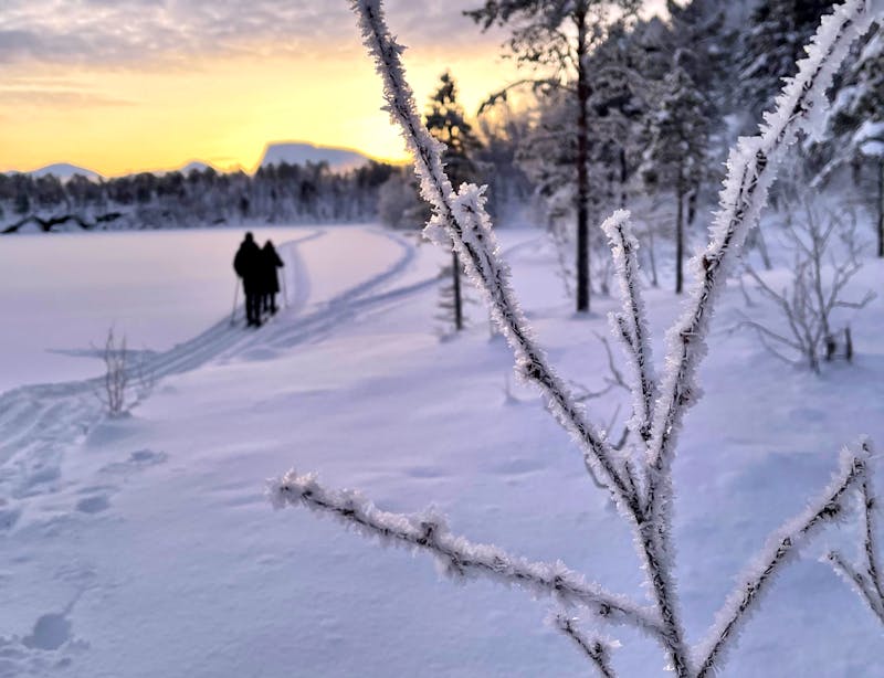 Schneeschuhwanderung in Norwegen - ©Malangen Brygger Resort