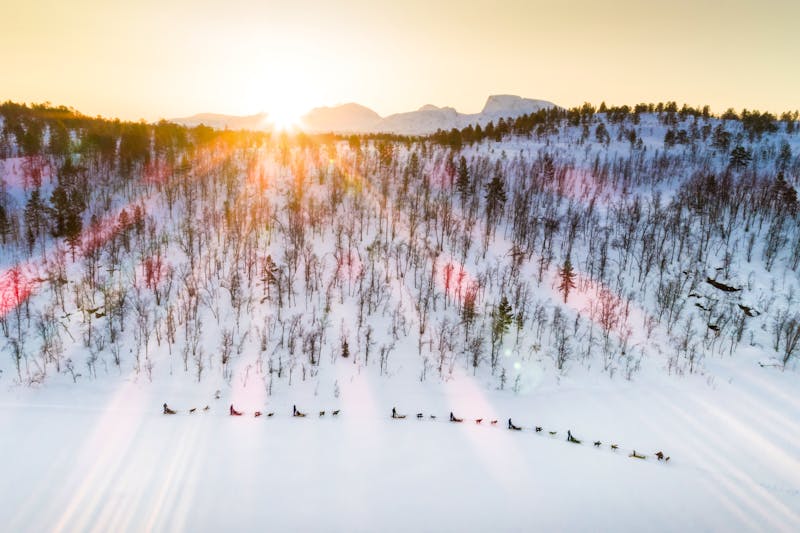 Hundeschlitten-Tour in Norwegen - ©Malangen Brygger Resort
