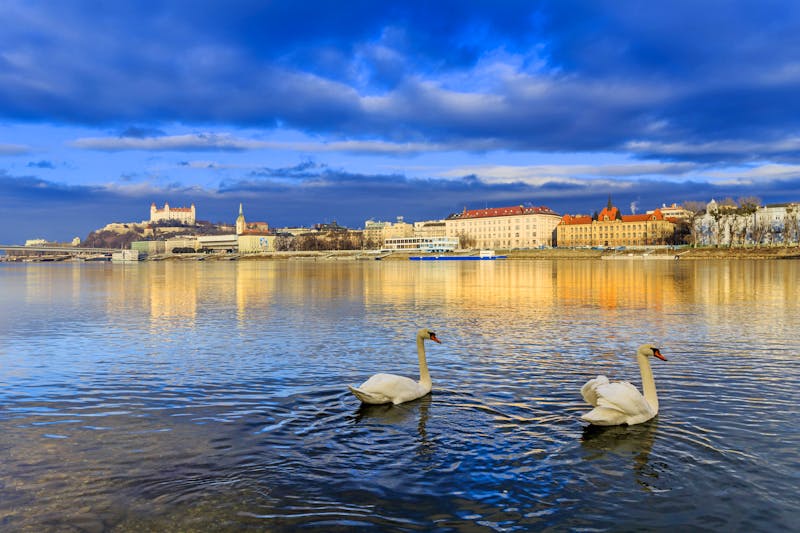 Bratislava an der Donau - ©Matej Kotula / Pointa Design - stock.adobe.com