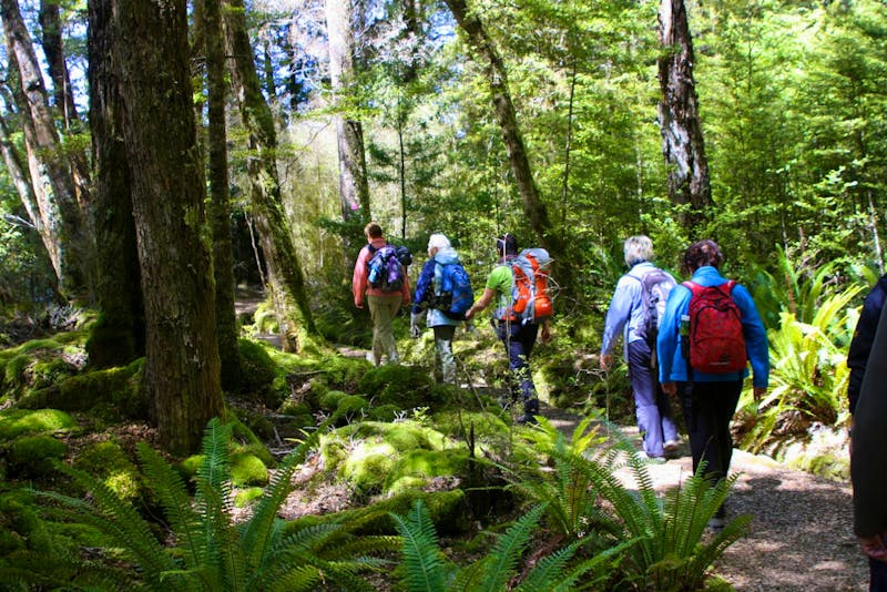 Wanderung auf dem Kepler Track bei Te Anau - ©Anna Stiebing - Eberhardt TRAVEL