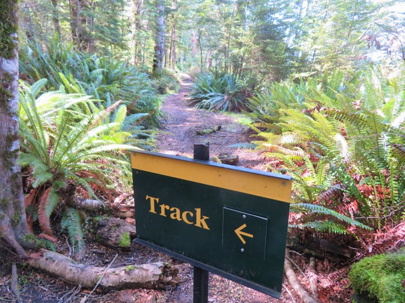 Te Anau - Kepler Track - ©Juliane Voigt - Eberhardt TRAVEL