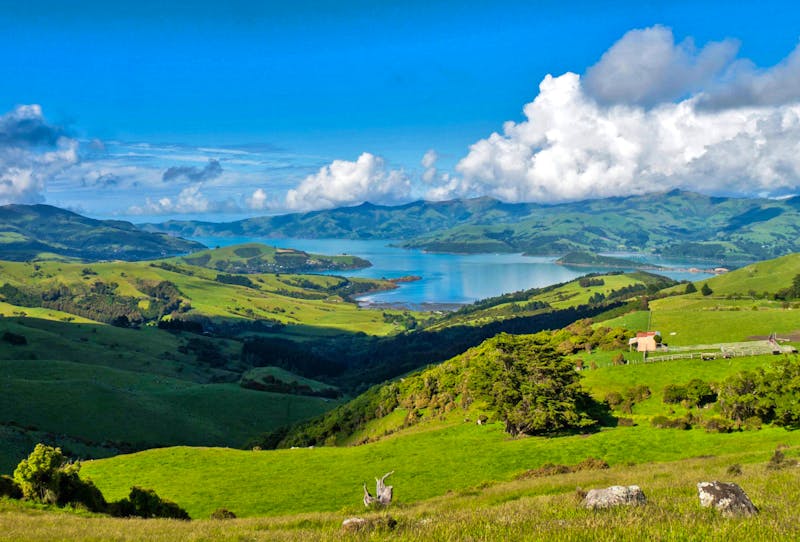 Banks Peninsula auf der Südinsel - ©Anna Stiebing - Eberhardt TRAVEL