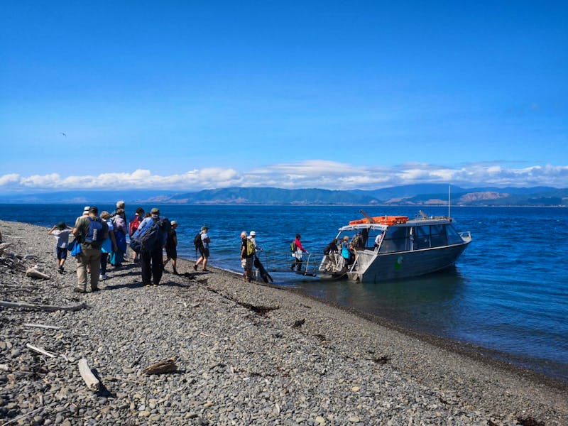 Bootsfahrt nach Kapiti Island - ©Juliane Voigt - Eberhardt TRAVEL