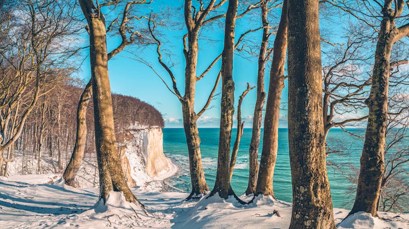 Kreidefelsen im Nationalpark Jasmund auf Rügen - ©Mirko Boy - stock.adobe.com