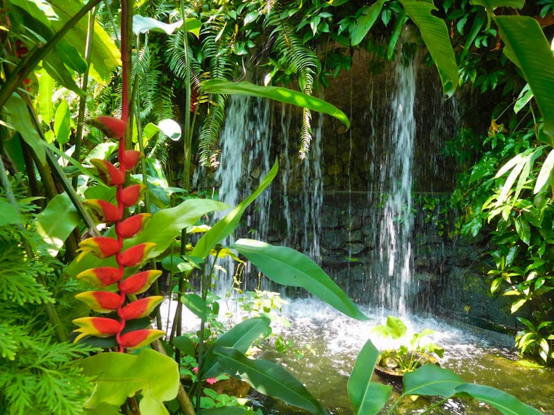 Schmetterlingspark in Kuala Lumpur - ©Laura Schwanitz - Eberhardt TRAVEL