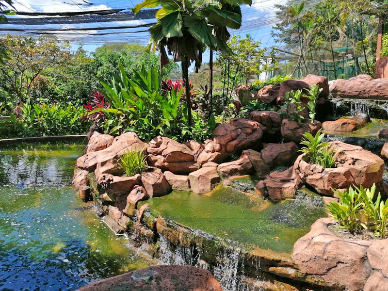 Ausflug zum Vogel- & Orchideenpark in Kuala Lumpur - ©Philip Seidel - Eberhardt TRAVEL