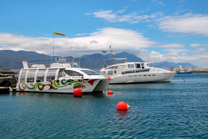 Walbeobachtungsschiffe bei Hermanus - ©Kristin Weigel - Eberhardt TRAVEL