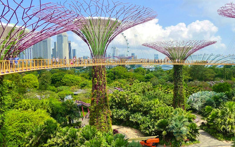 Gardens by the Bay in Singapur - ©Frank Nimschowski