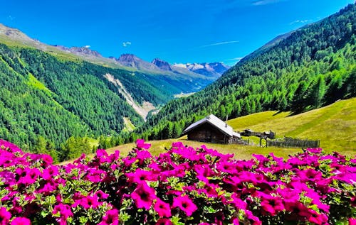 Wanderung bei Obergurgl in den Ötztaler Alpen &ndash; &copy; Betina Marinow - Eberhardt TRAVEL