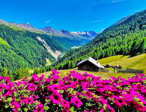 Wanderung bei Obergurgl in den Ötztaler Alpen – © Betina Marinow - Eberhardt TRAVEL