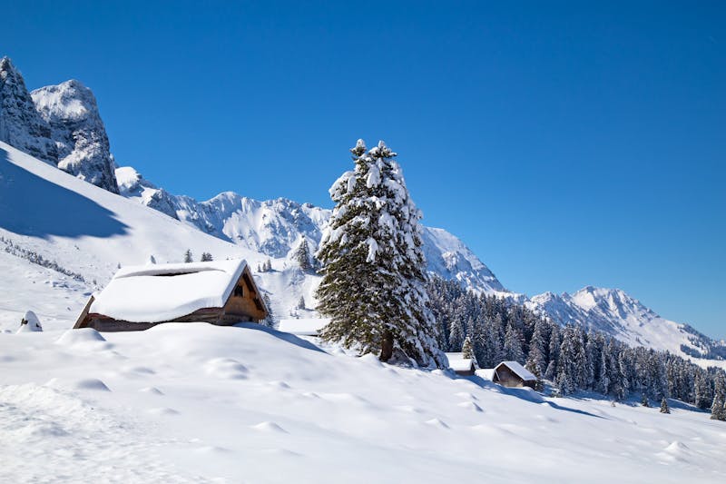 Winterstimmung am Säntis in den Schweizer Alpen - ©swisshippo - stock.adobe.com