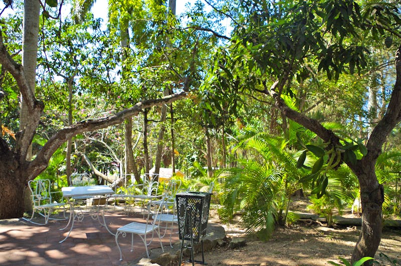 Garten der Quinta Vigia - Funchal - ©Rico Manns - Eberhardt TRAVEL