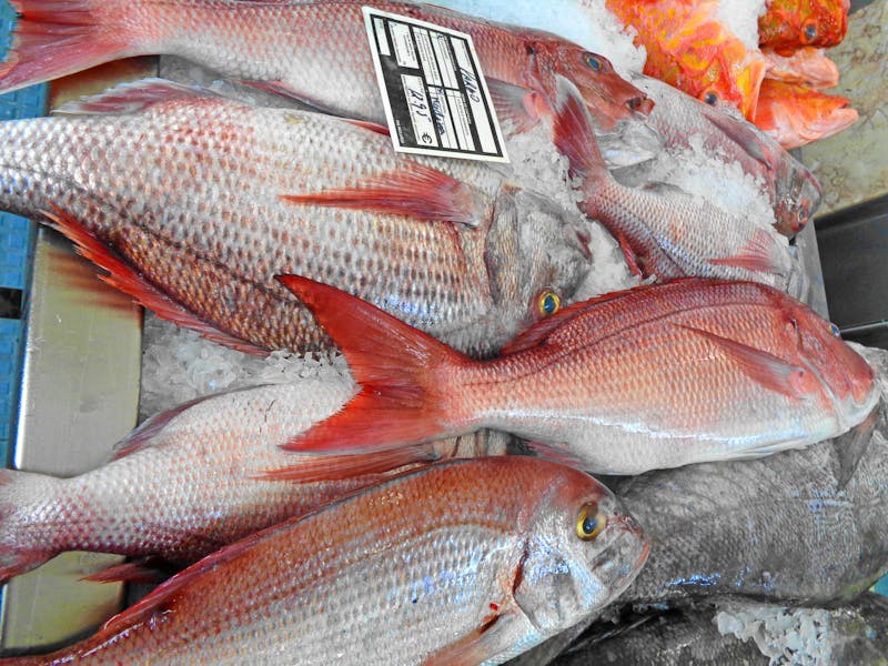 Frischer Fisch in der Markthalle von Funchal - ©Martina Häselbarth - Eberhardt TRAVEL