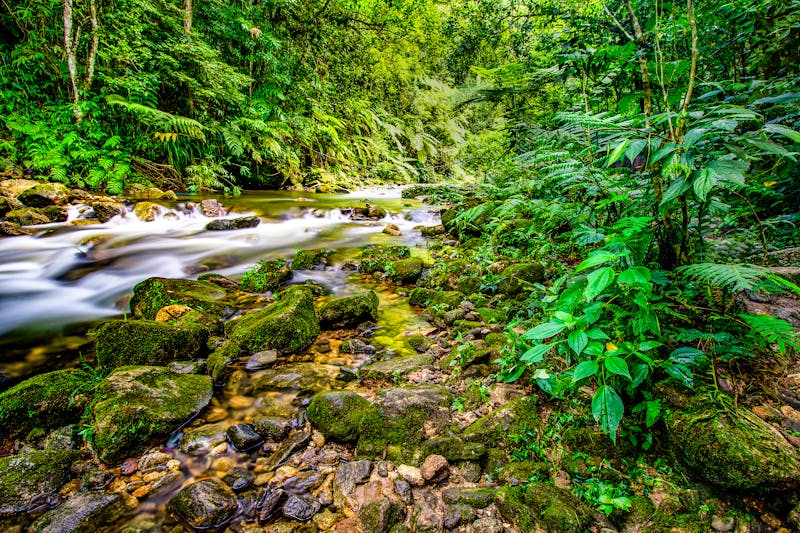 In der Natur Madeiras - ©LuisPhillipe - stock.adobe.com