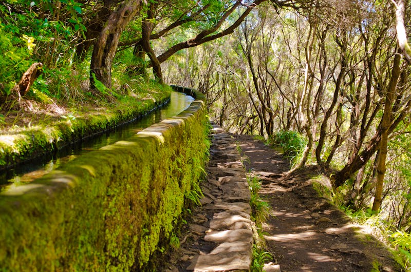 Wanderung entlang der 25 Fontes Levada  - ©Artur Kotowski - stock.adobe.com