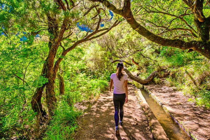 Levada-Wanderung 25 Fontes in Madeira - ©Simon Dannhauer - stock.adobe.com