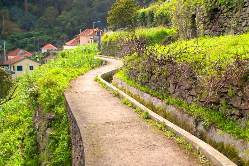 Levada bei Machico - ©Susanne Schirmann - Eberhardt TRAVEL