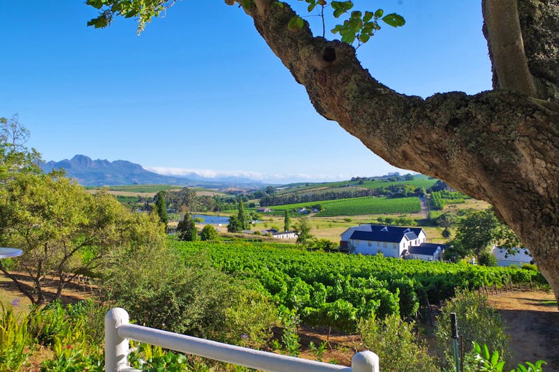 Devon Valley in Südafrika - ©Annett Müller - Eberhardt TRAVEL